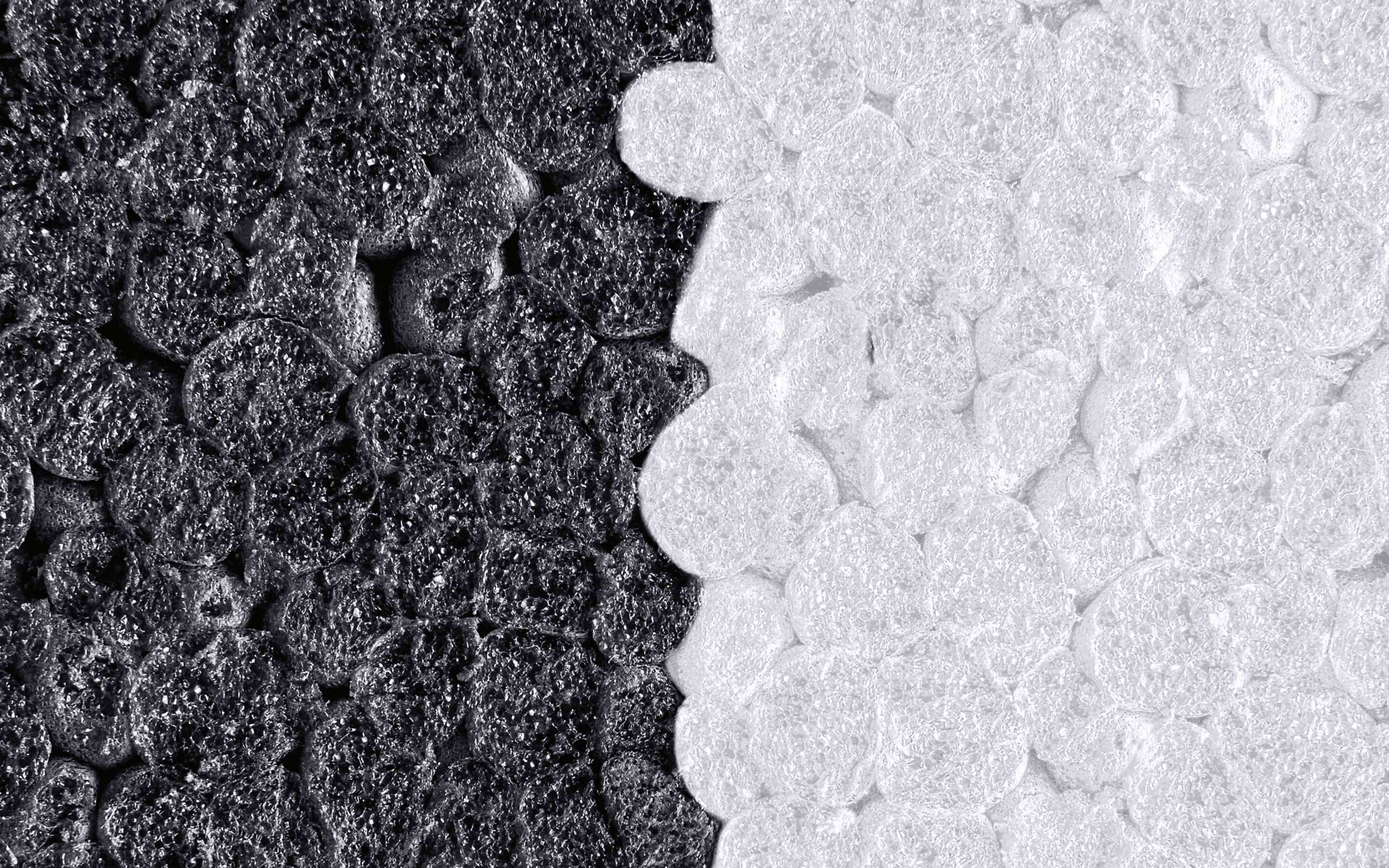 05 case gonon 2 spaltig4 scaled