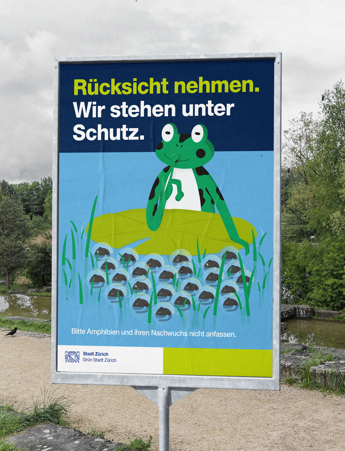 Grün Stadt Zürich Laich